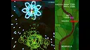Bazterka - Urik Gabeko Herria Screenshot 8