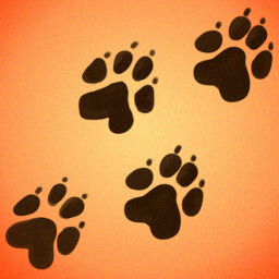 First Steps icon