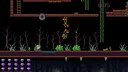 Apee Escapee Screenshot 2