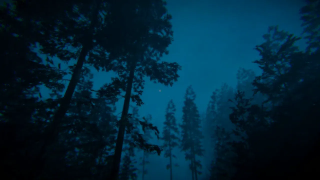 VETITUM_VRC: An Ocean Game - Expansion Levels Screenshot 0