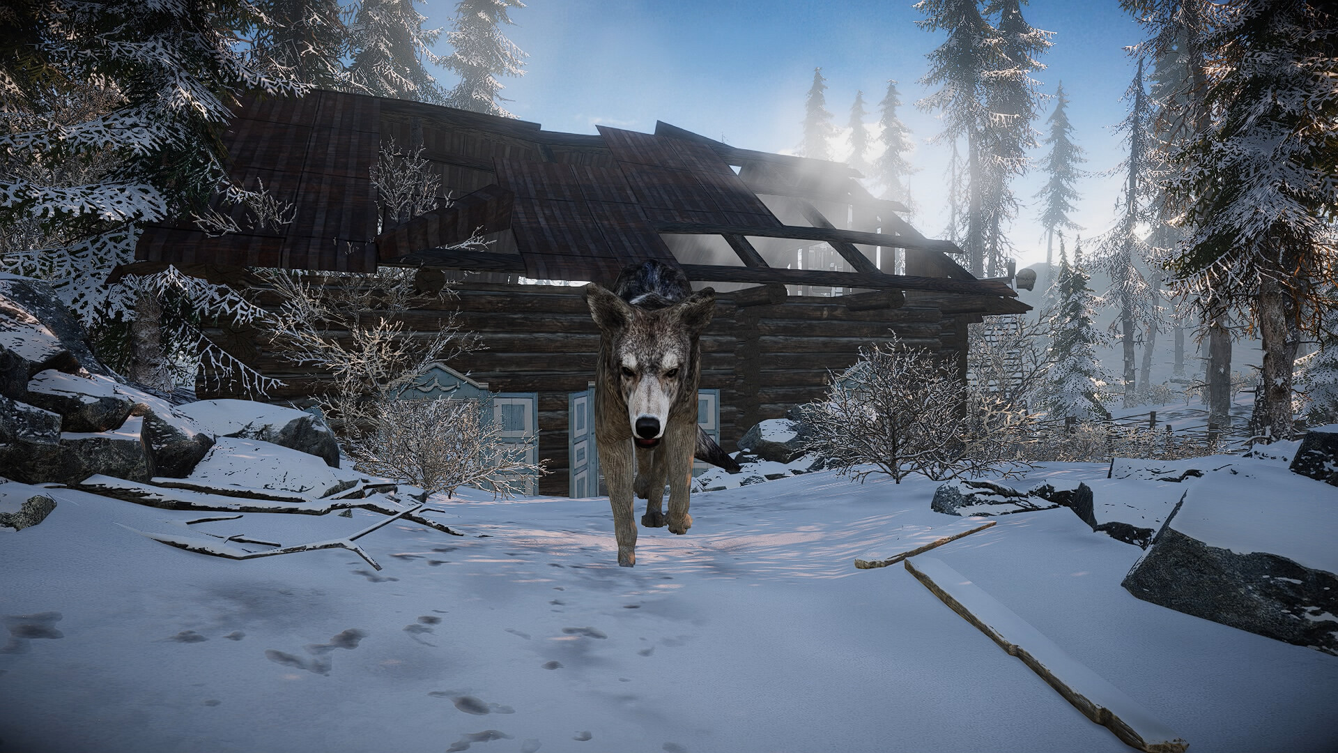 Short Snow | Cold Survival Game Screenshot 26
