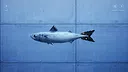 OKAZU - Fish Counting Chill Game - Screenshot 1