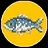 My Fish