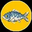 My Fish icon