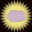 Certified Genius II icon