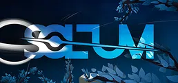 SOLUM