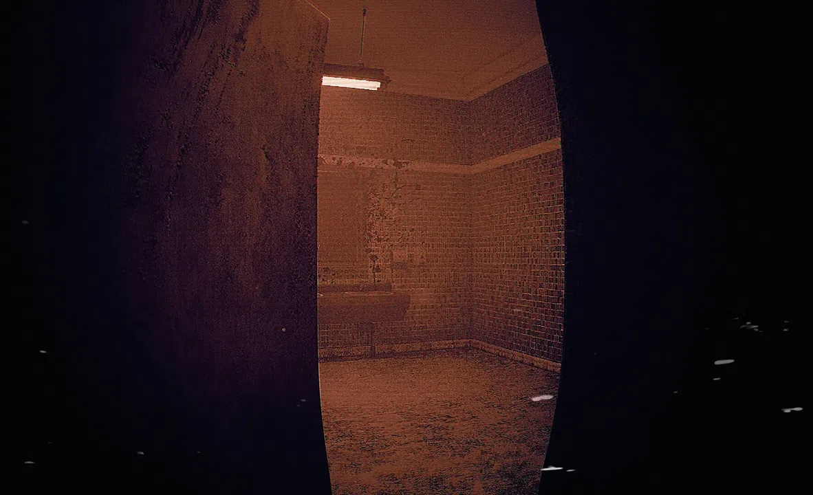ALONE: Mnemophobia Screenshot 3