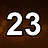 23 level completed