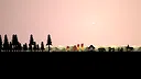 Valehands Screenshot 0