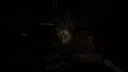 Firefly Shelter Screenshot 5