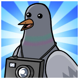 Skyline Pigeon icon