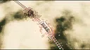 Time Travel Train Screenshot 3