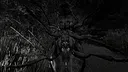 Dakini Screenshot 5