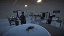 Life of a Cockroach Screenshot 9