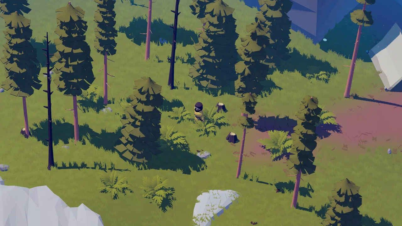 Little Frontier Screenshot 8