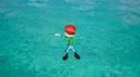 Dive Buddies Screenshot 1