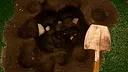 Dig to China Simulator Screenshot 1