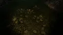 Rudravati: Curse of Bhankilla Screenshot 6