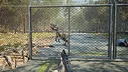 Extinct Forest Screenshot 1