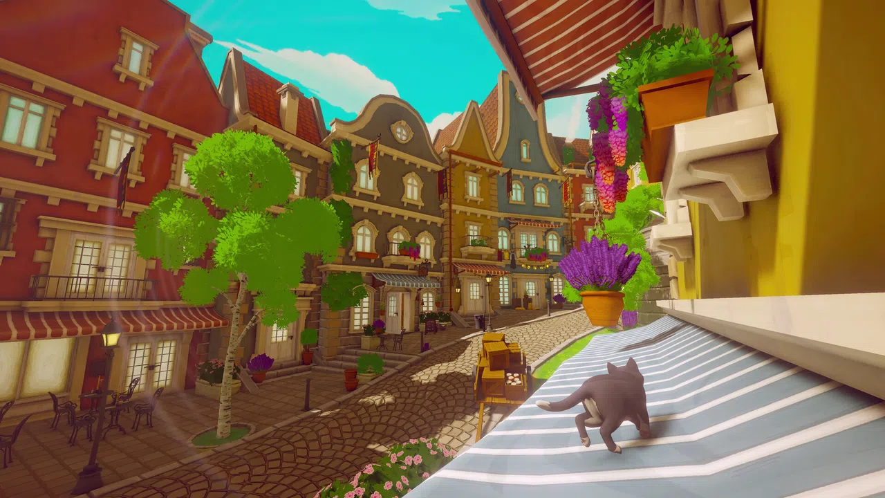 Pawbay Screenshot 2