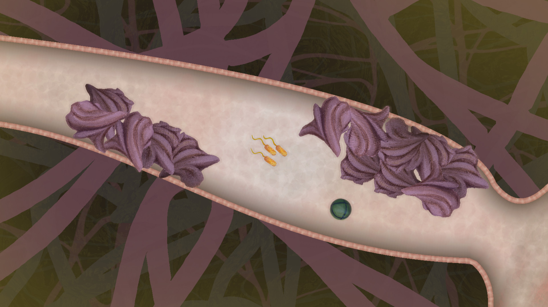 biorhythm Screenshot 2