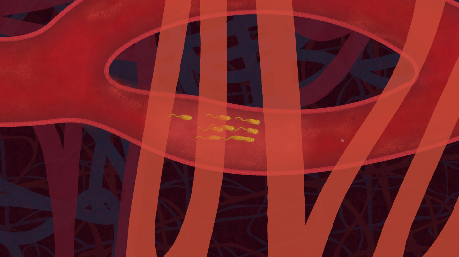 biorhythm Screenshot 0