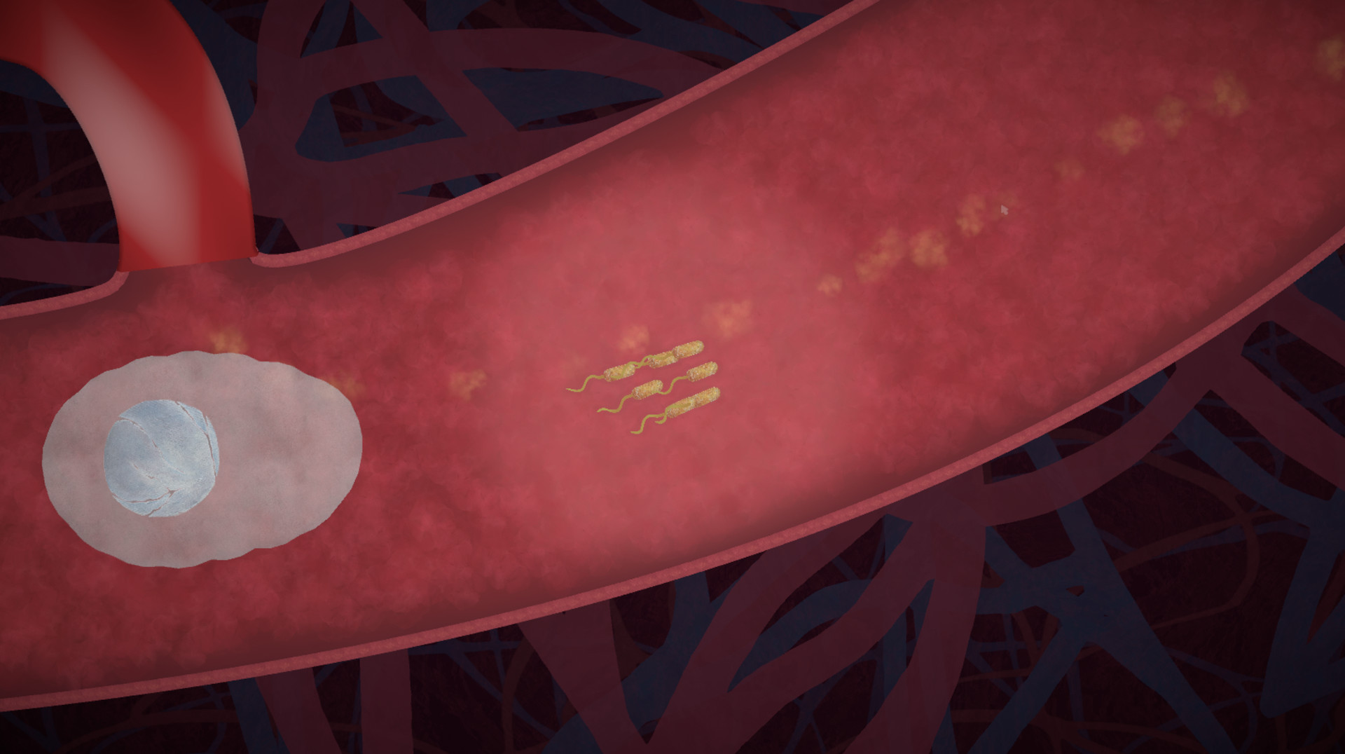 biorhythm Screenshot 4