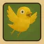 First Flap icon