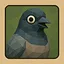 Pigeon icon