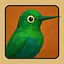 Humming Bird icon