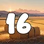 16 level completed icon