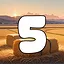 5 level completed icon