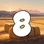 8 level completed icon