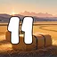11 level completed icon