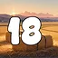 18 level completed icon