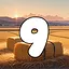 9 level completed icon