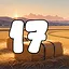 17 level completed icon