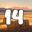 14 level completed icon