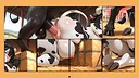 Hentai Furry Cow Screenshot 2