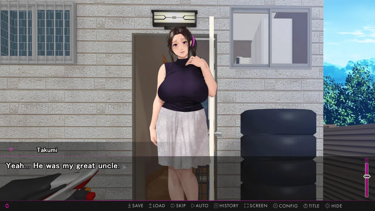 Afternoon Affairs & Helpless Housewives Screenshot 3