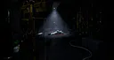 The Dark Curiosity Screenshot 8