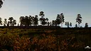 The City Life Screenshot 11