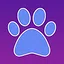 Rare Cat! icon