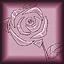 Pink Rose icon