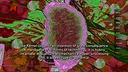 Laments of a Platinum Rose Screenshot 0