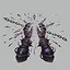 Curse Breaker icon