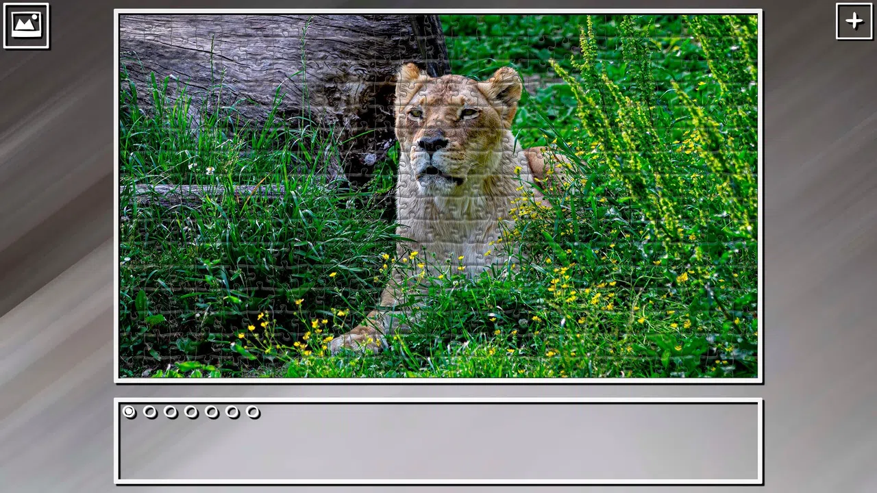 Super Jigsaw Puzzle: Generations - Big Cats 3 Screenshot 21