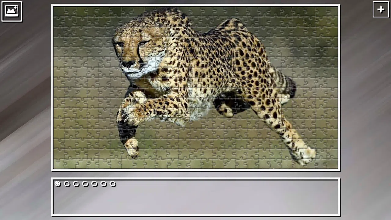 Super Jigsaw Puzzle: Generations - Big Cats 3 Screenshot 4