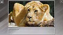 Super Jigsaw Puzzle: Generations - Big Cats 3 Screenshot 15