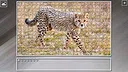 Super Jigsaw Puzzle: Generations - Big Cats 3 Screenshot 6